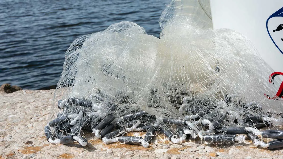 Bait Buster Menhaden Cast Nets CMN-BB6, 6 ft. Radius, 5/8" Sq. Mesh