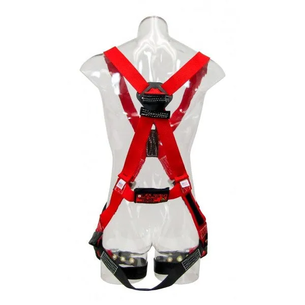 Bashlin -"X" Style Harness with grommet leg straps and nylon loop back attachment