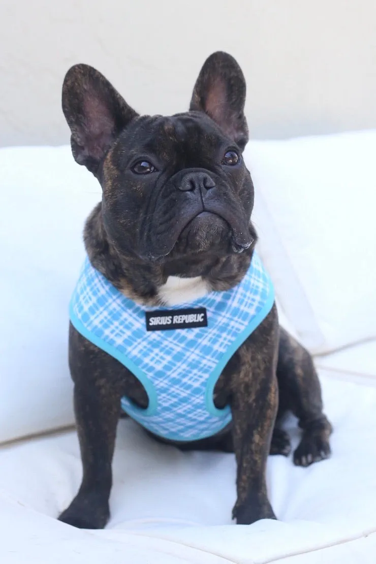 Beer and Pretzels Reversible Harness