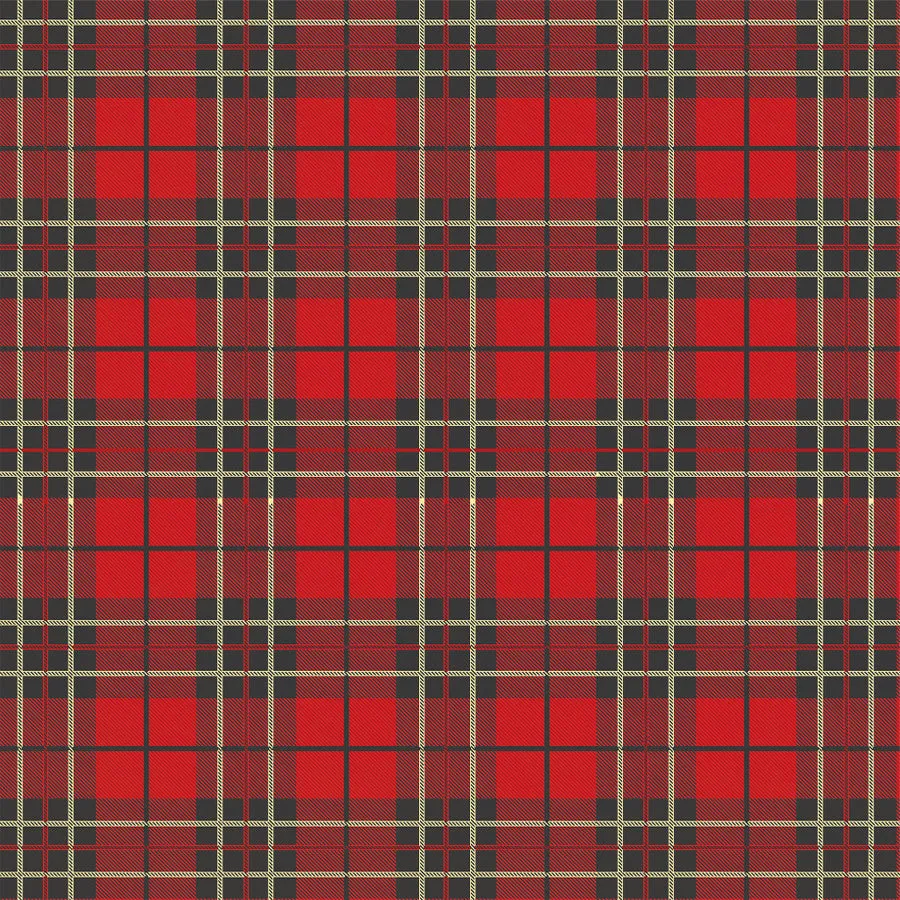 Carta Bella - Back To School - 12x12 Single Sheet / Lunch Box Plaid