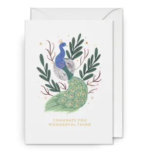Congrats You Wonderful Thing Peacock