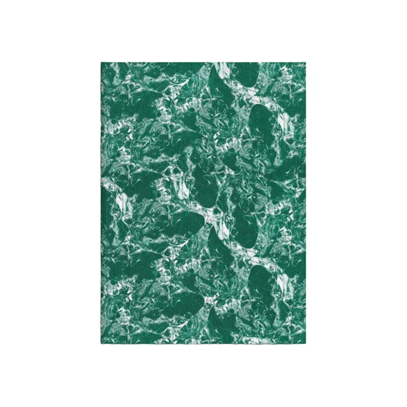 Glacier Notebook N° 4