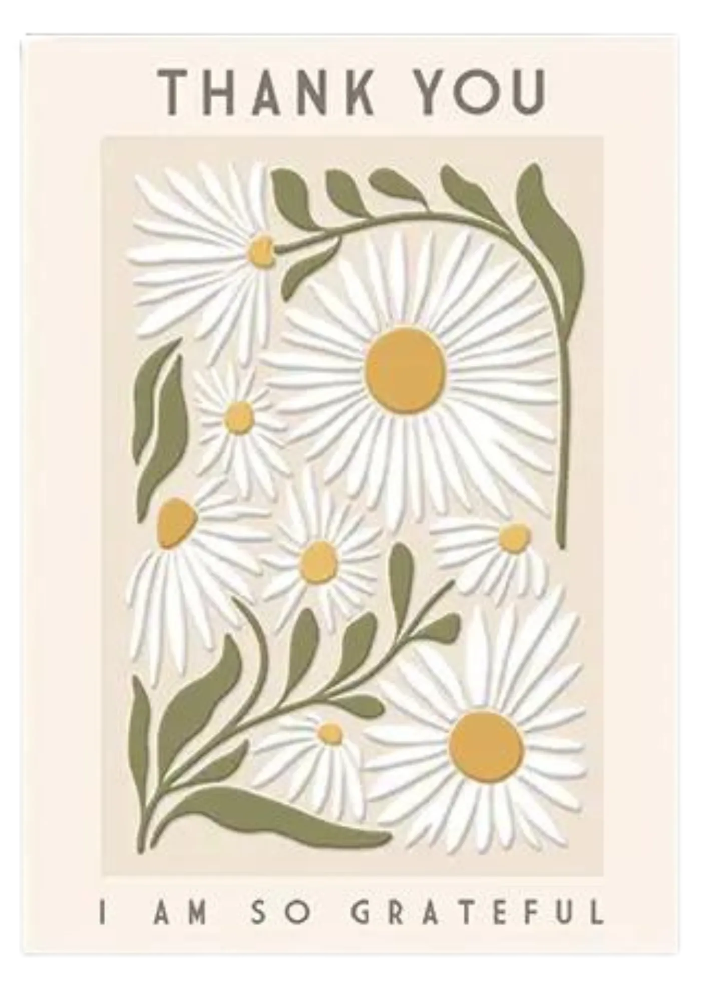 Greeting Card Daisy Flowers