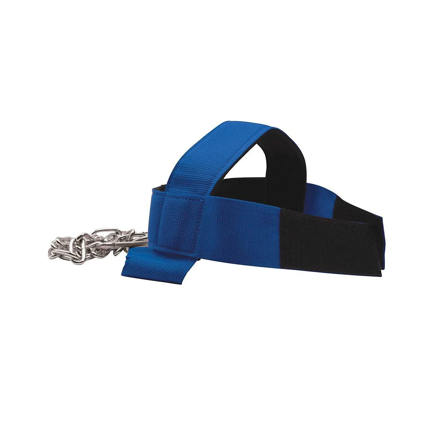 Head Harness - Blue