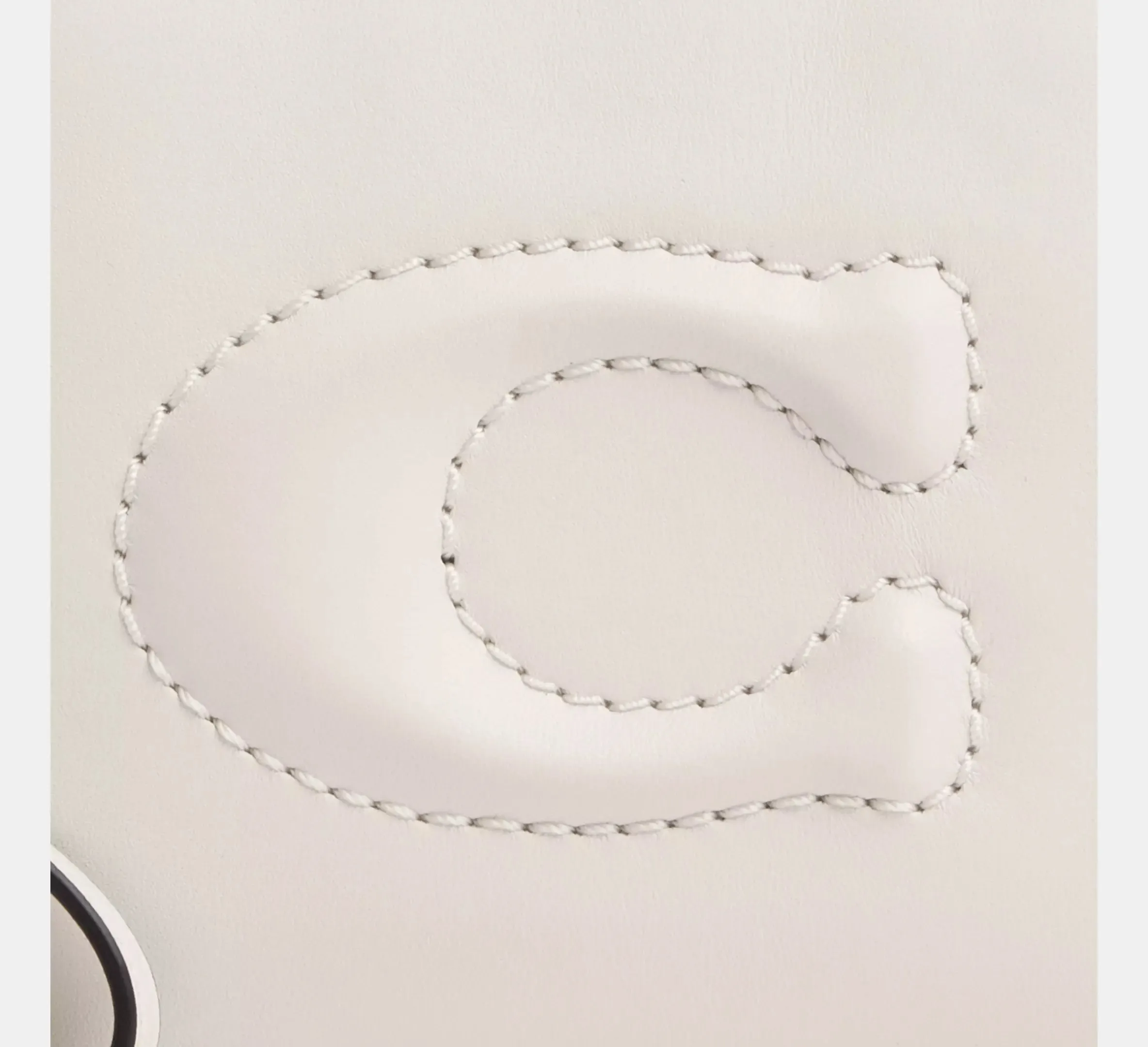 Large Corner Zip Wristlet
