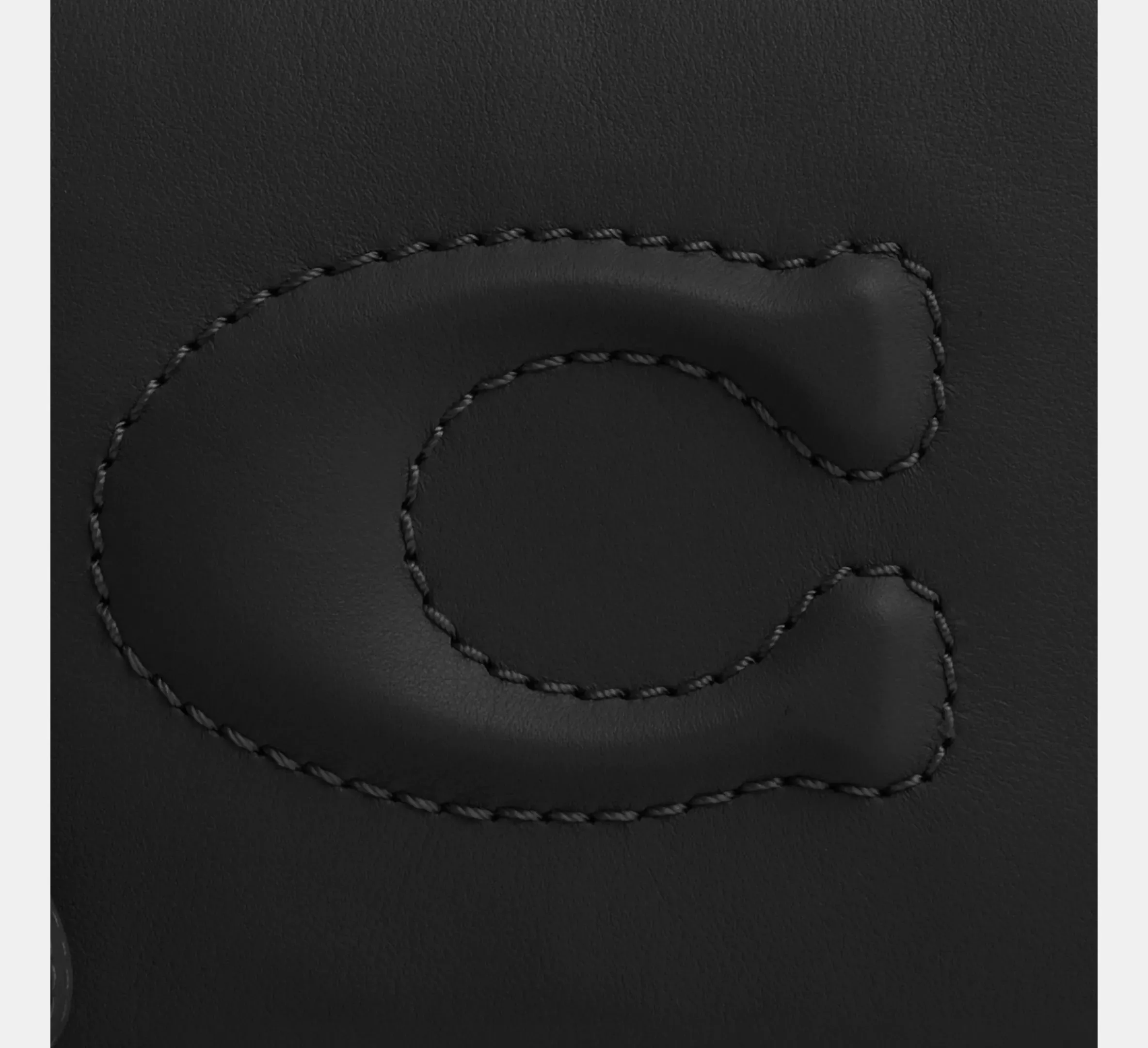 Large Corner Zip Wristlet