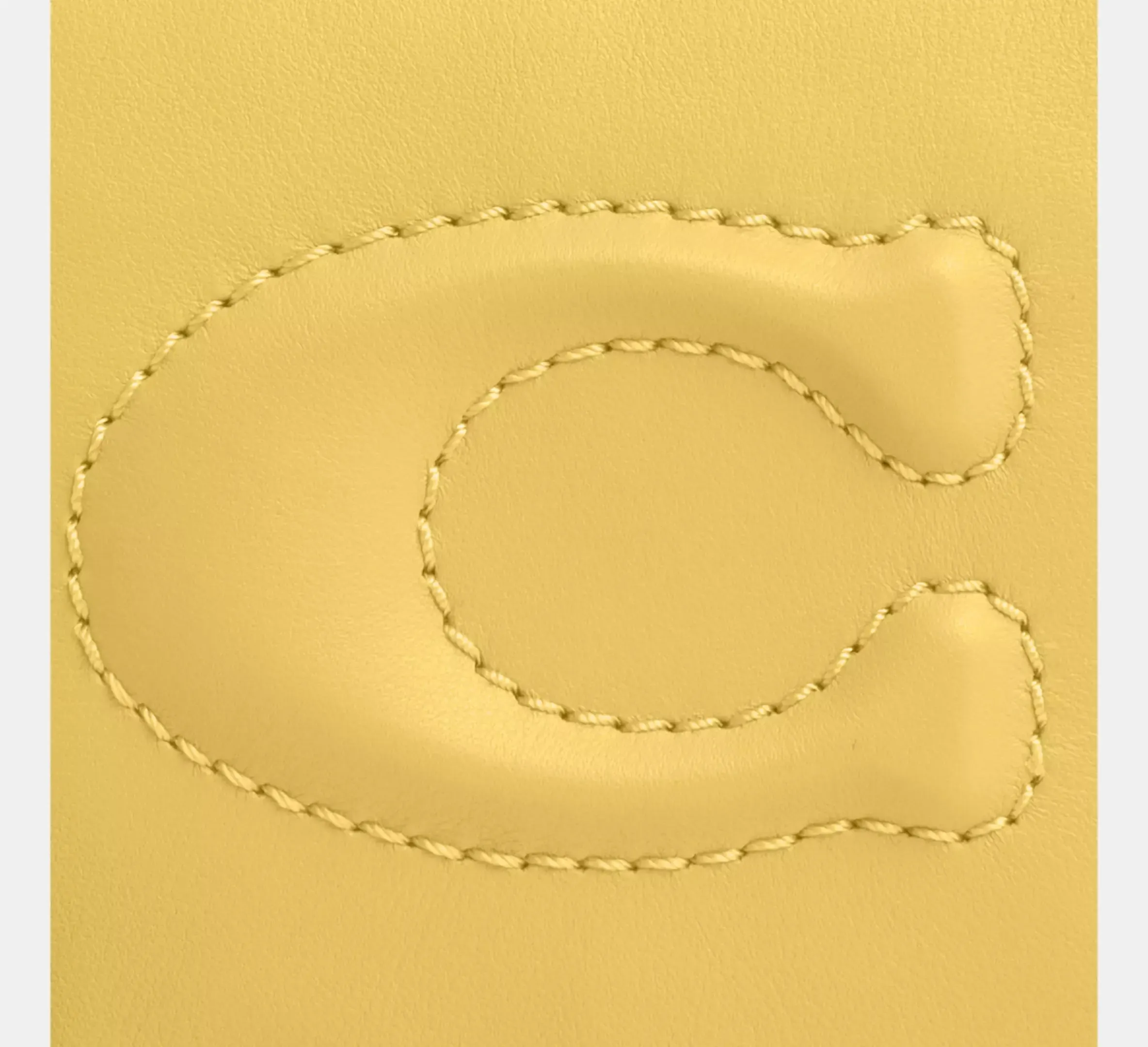 Large Corner Zip Wristlet