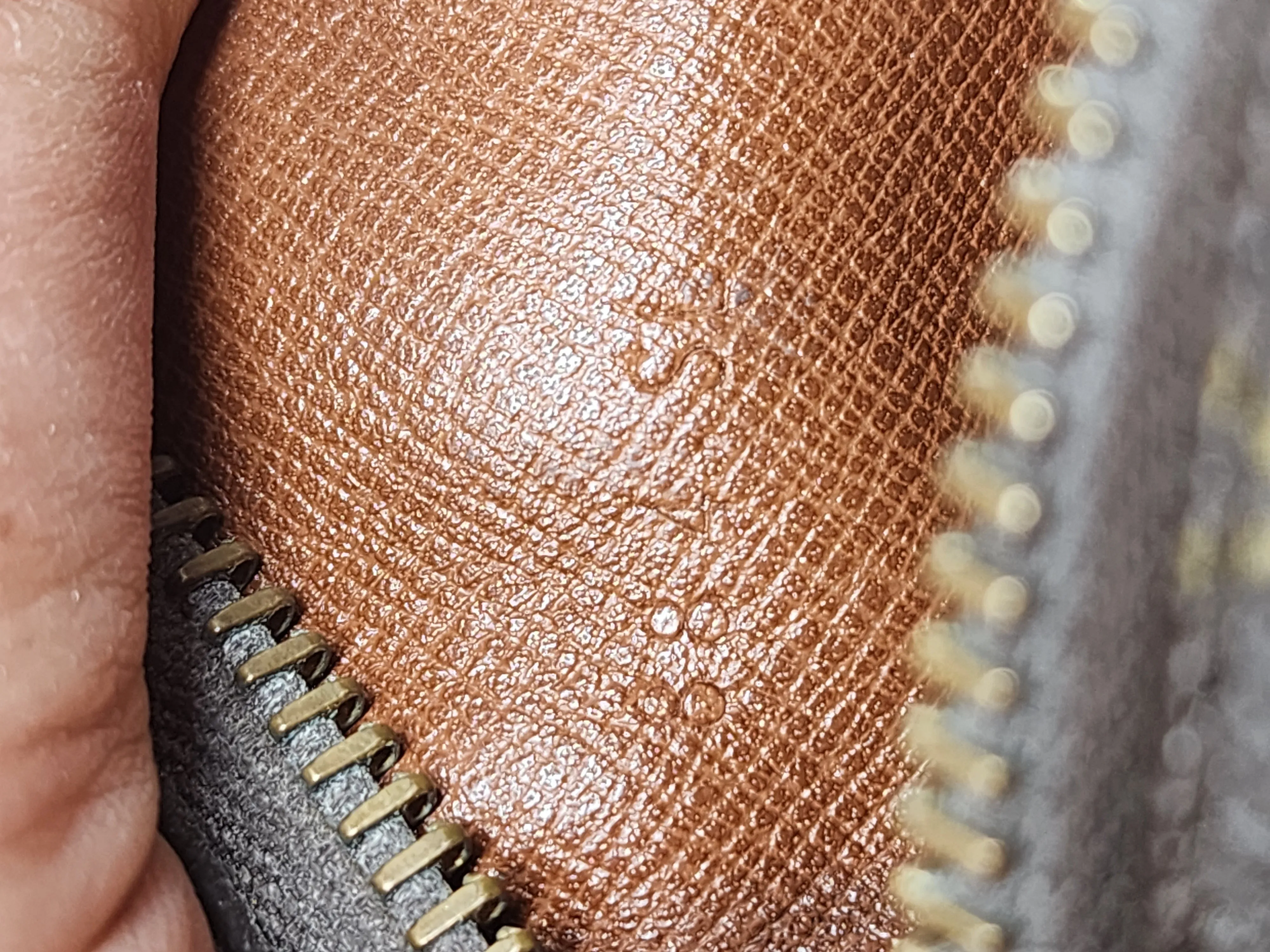 LOUIS VUITTON COMPAIGNE CLUTCH/POUCH/CASE