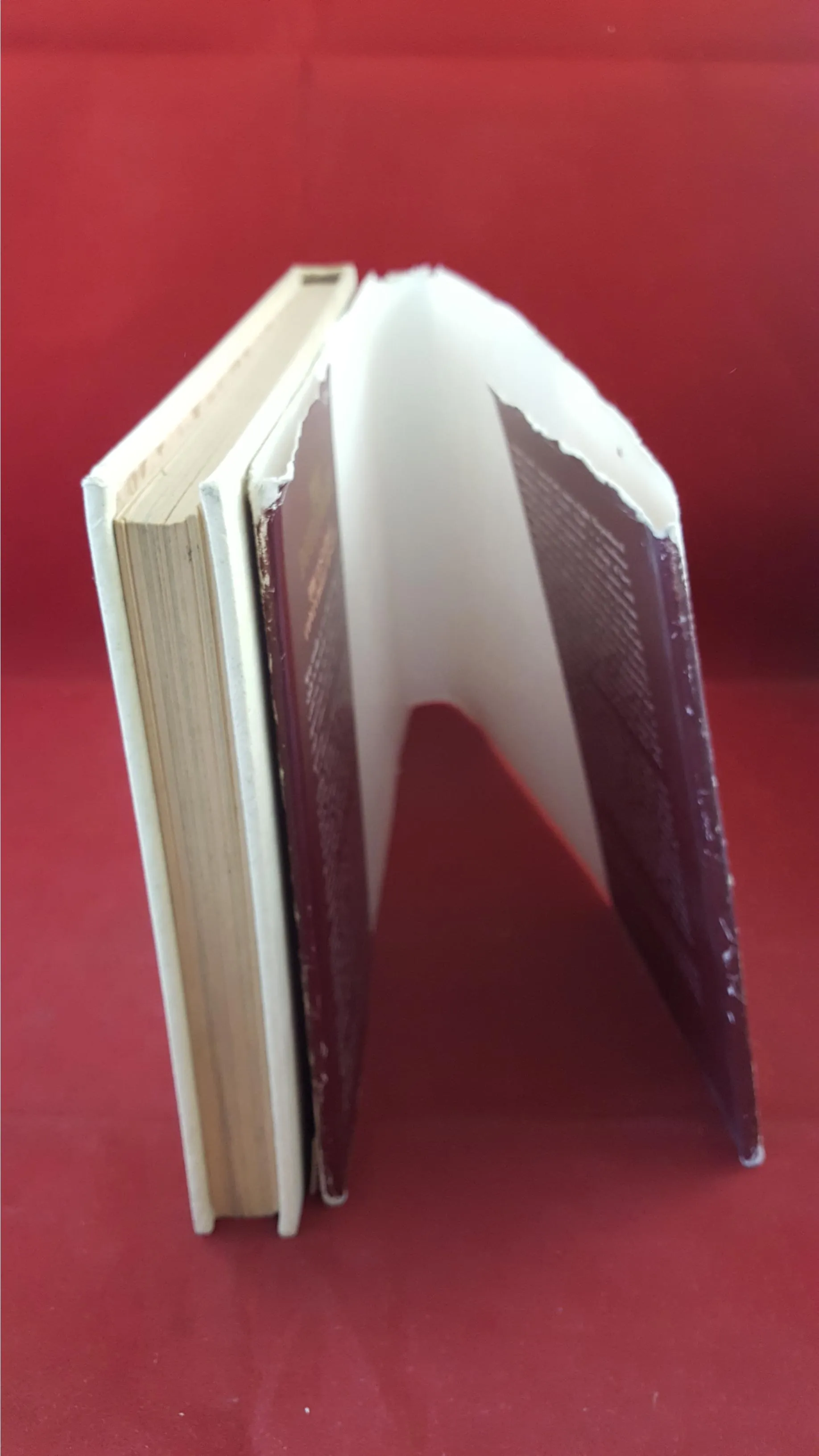 Michael Baker - The Doyle Diary, Paddington Press, 1978, First Edition