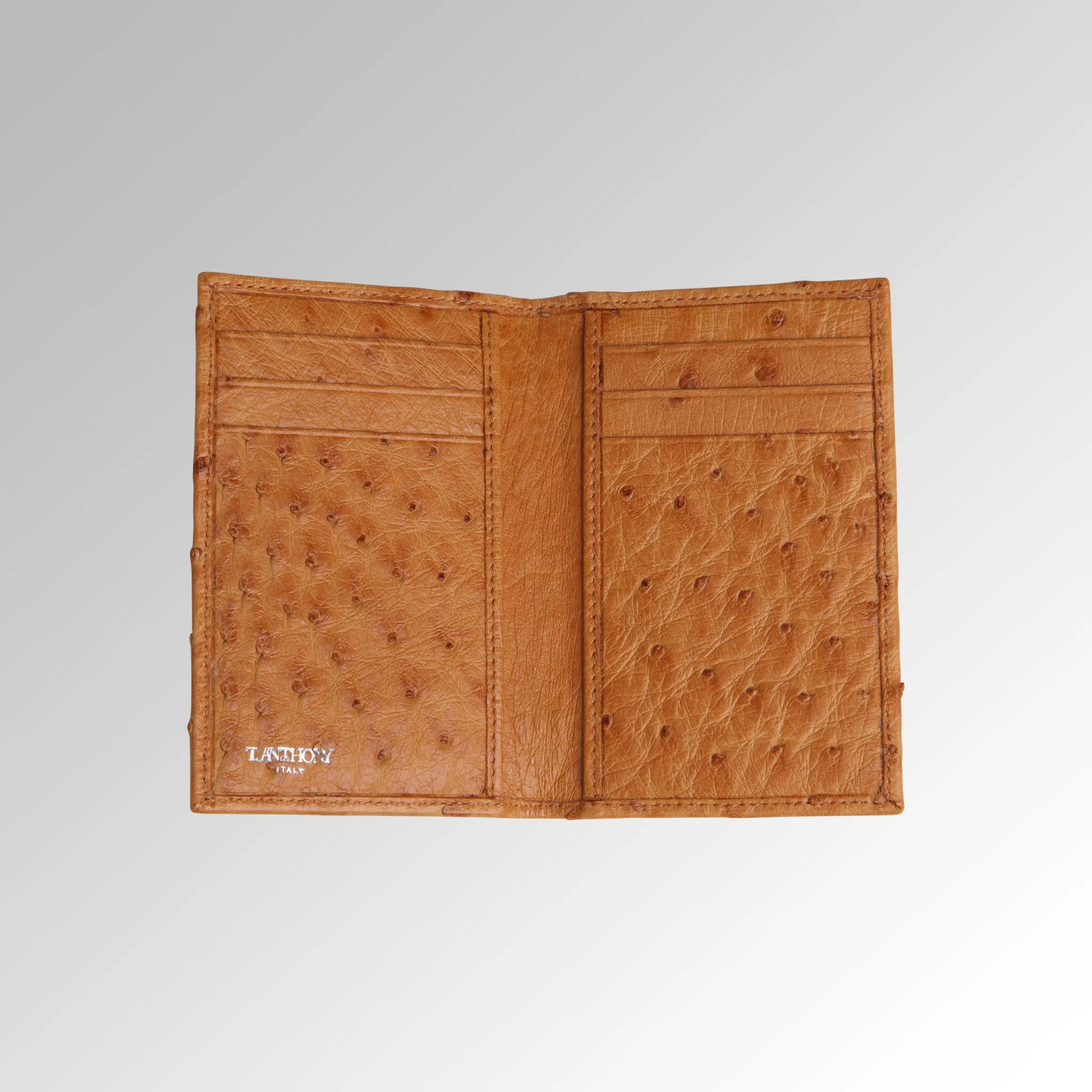 OSTRICH SLIM CREDIT CARD CASE