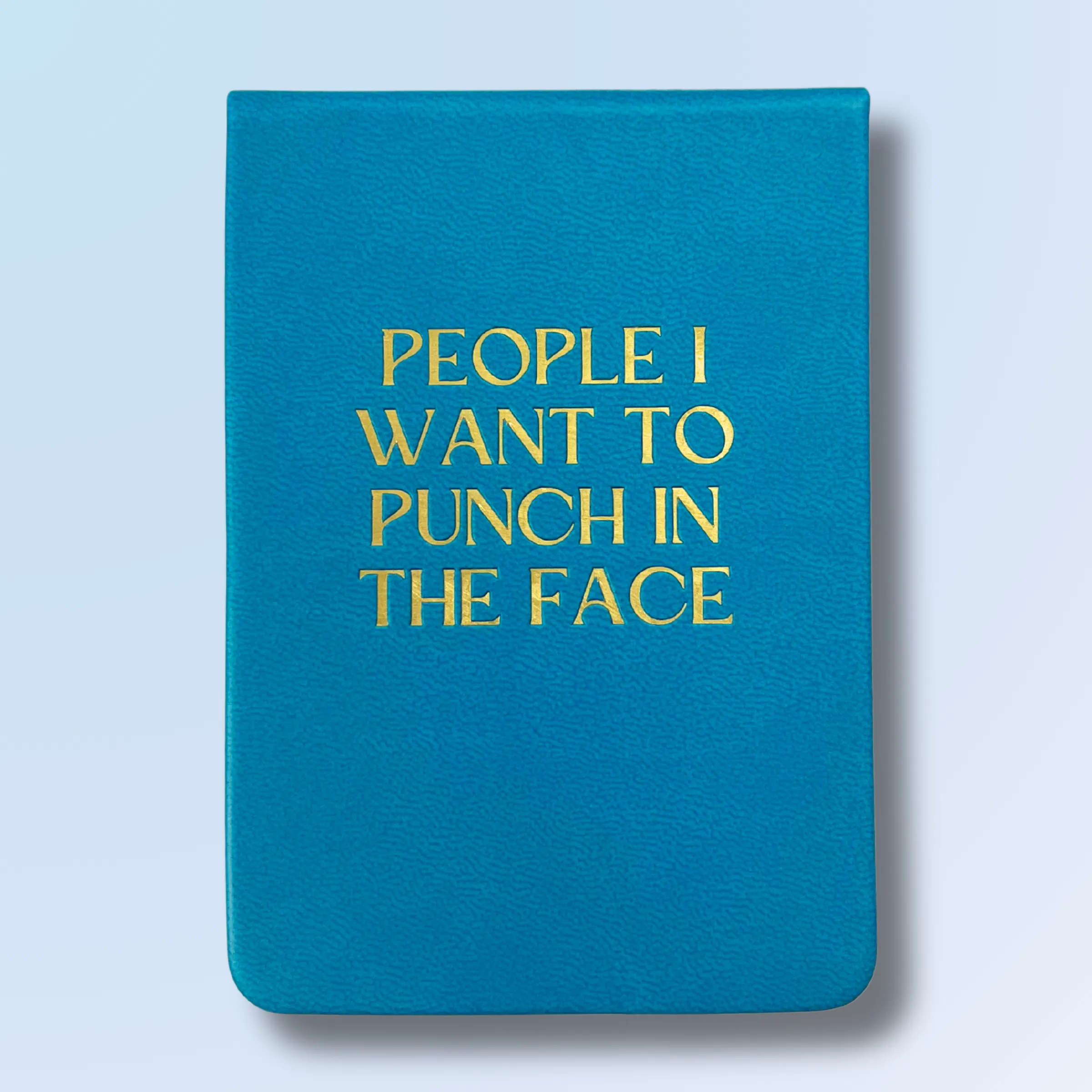 People I Want To Punch In The Face - Leatherette Journal