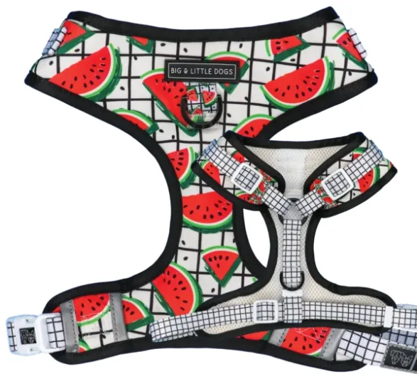 "A Slice of Summer" Adjustable Harness