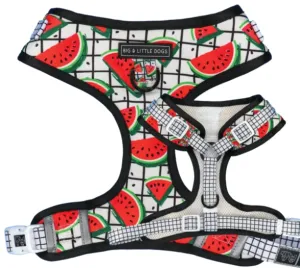 "A Slice of Summer" Adjustable Harness