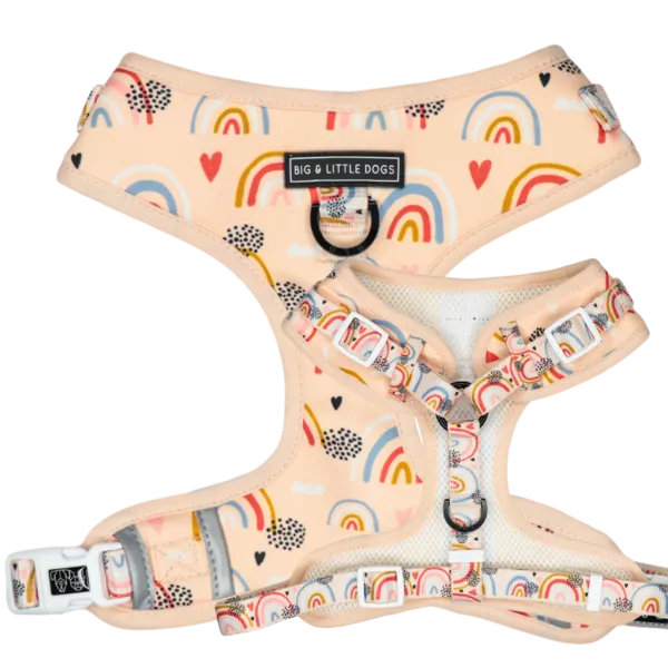 “Rainbow Dream" Adjustable Harness