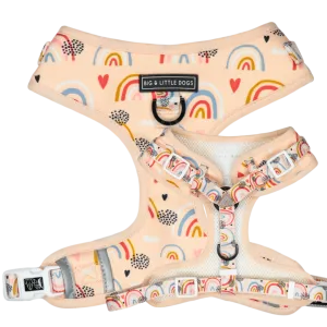 “Rainbow Dream" Adjustable Harness