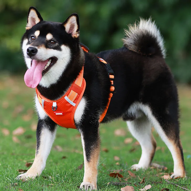 Reflective Dog Chest Strap