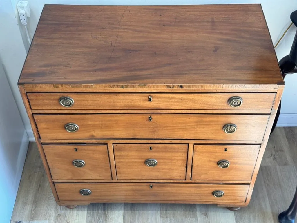 Regency Mahogany Campaign Chest