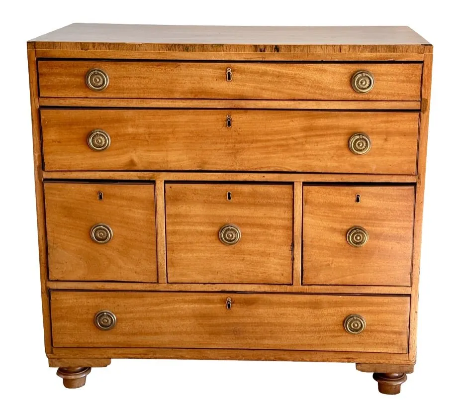 Regency Mahogany Campaign Chest
