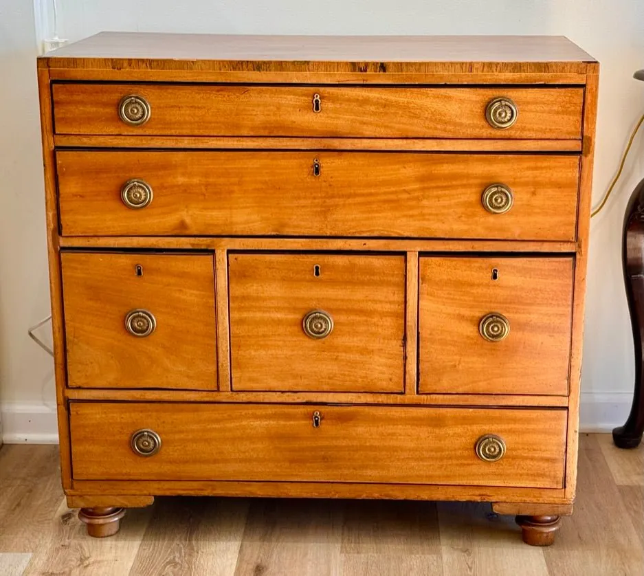 Regency Mahogany Campaign Chest