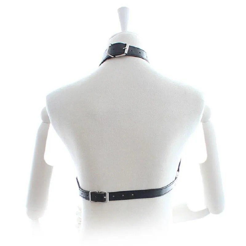 Strap With Chain Harness