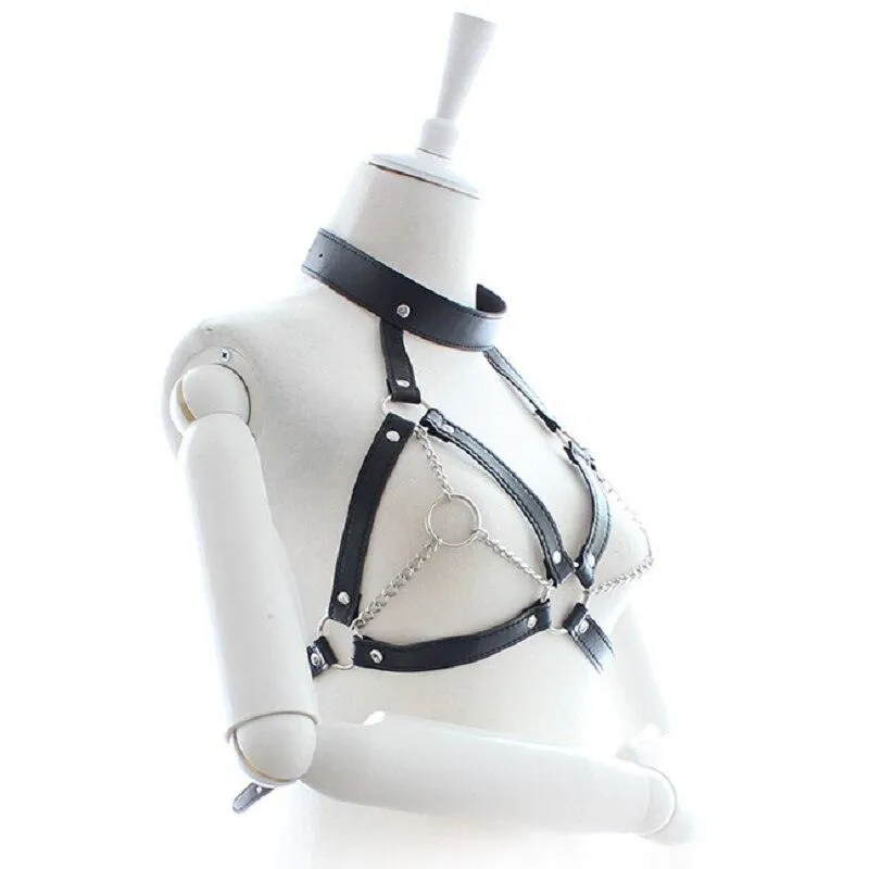 Strap With Chain Harness