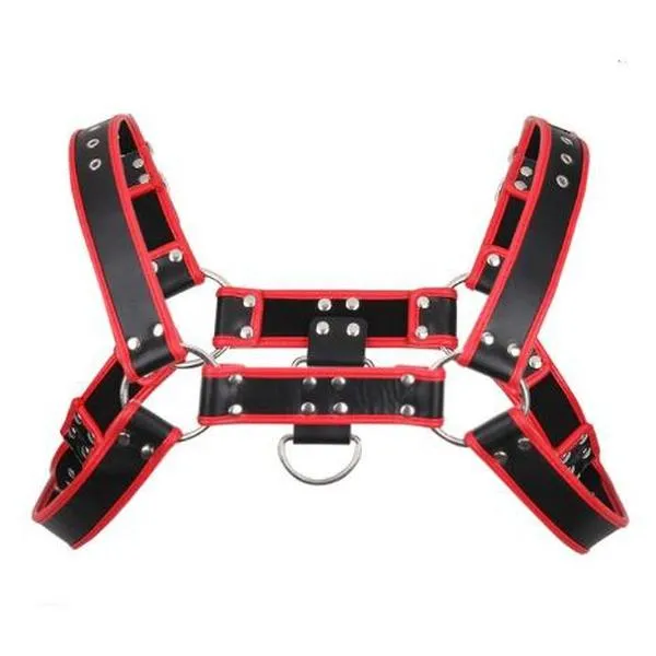 The Hermes Harness