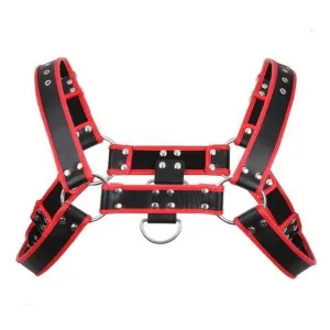 The Hermes Harness