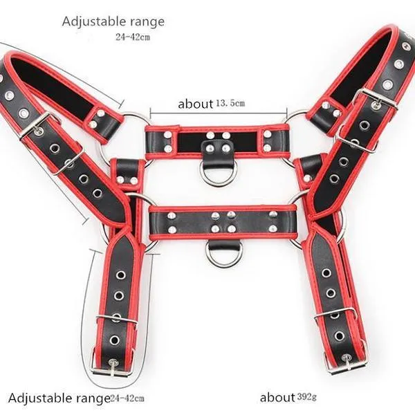 The Hermes Harness