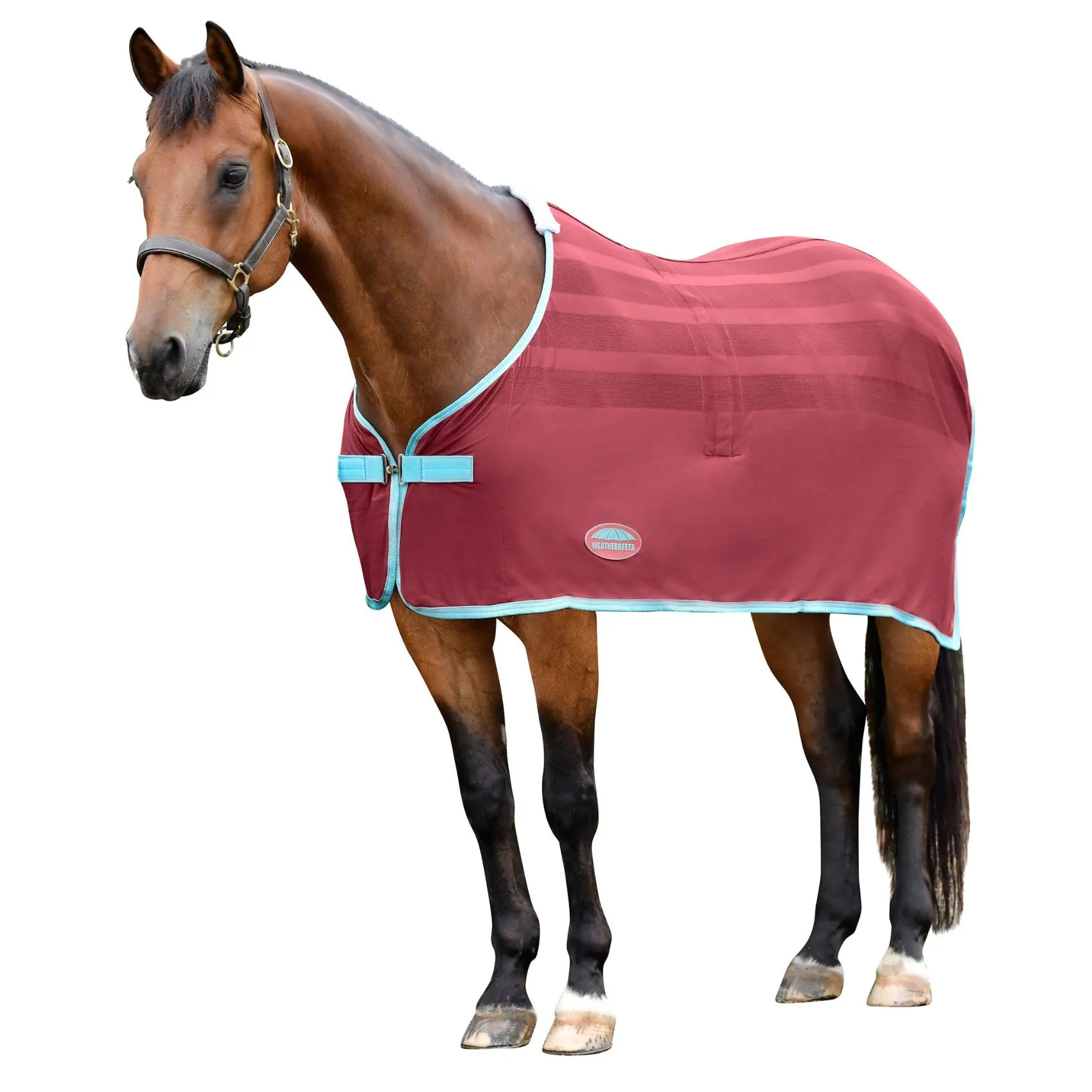 Weatherbeeta Scrim Cooler Red/Blue/Beige