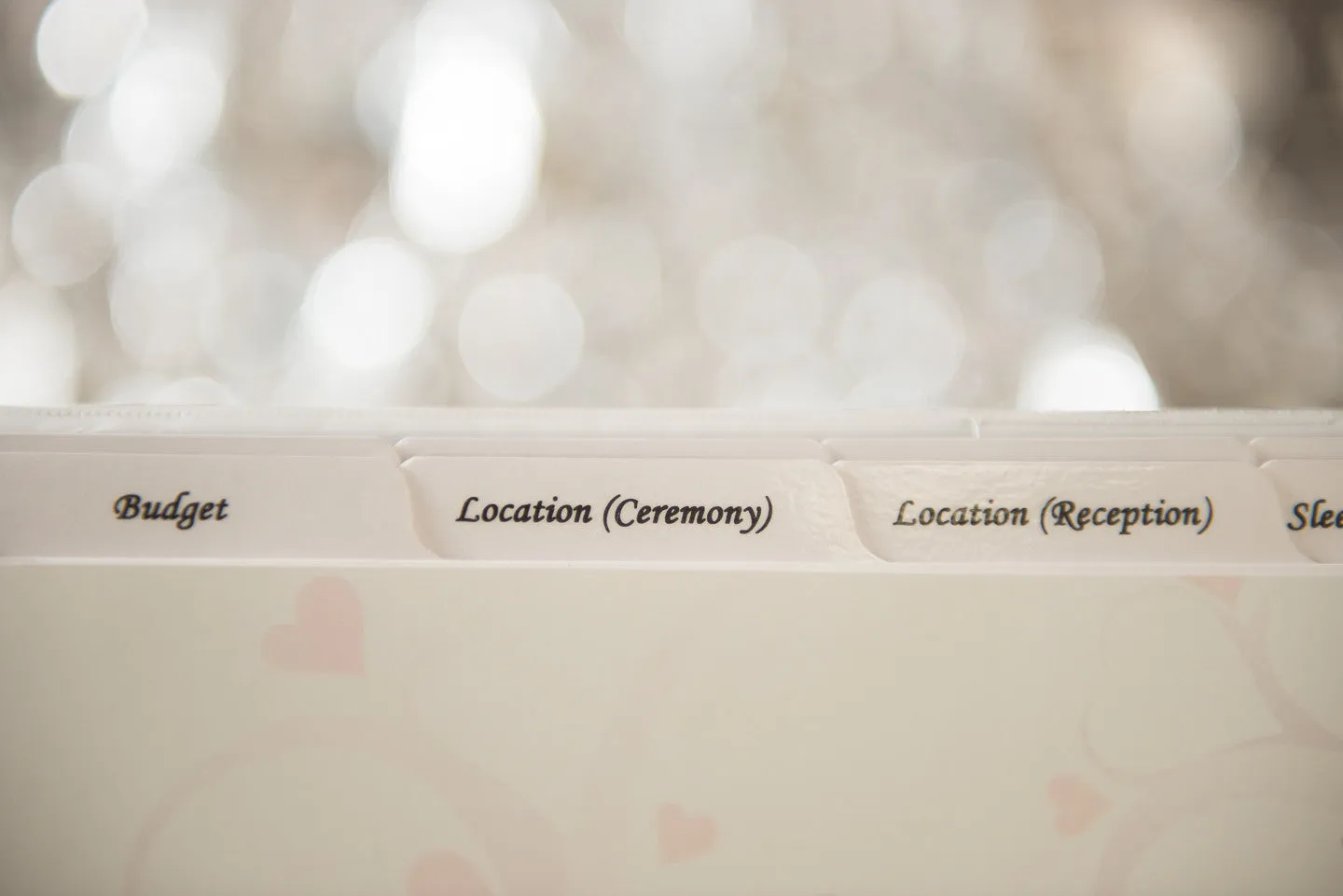 Wedding Planner Organizer Kit